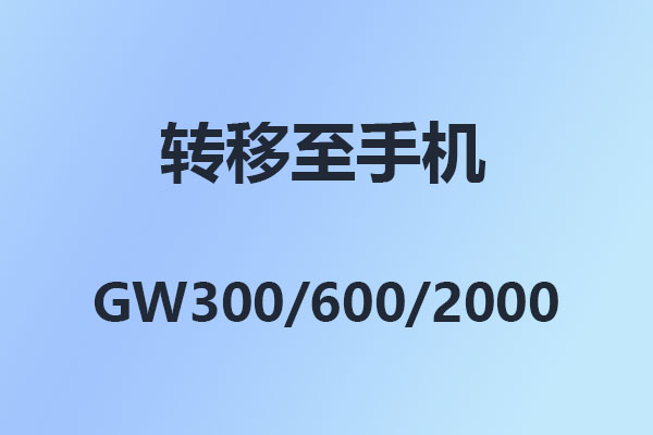 國威GW300/GW600/GW2000-呼叫轉移-離位-遇忙-無人接聽-轉移至手機