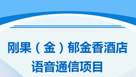 國威：某某酒店語音通信項目